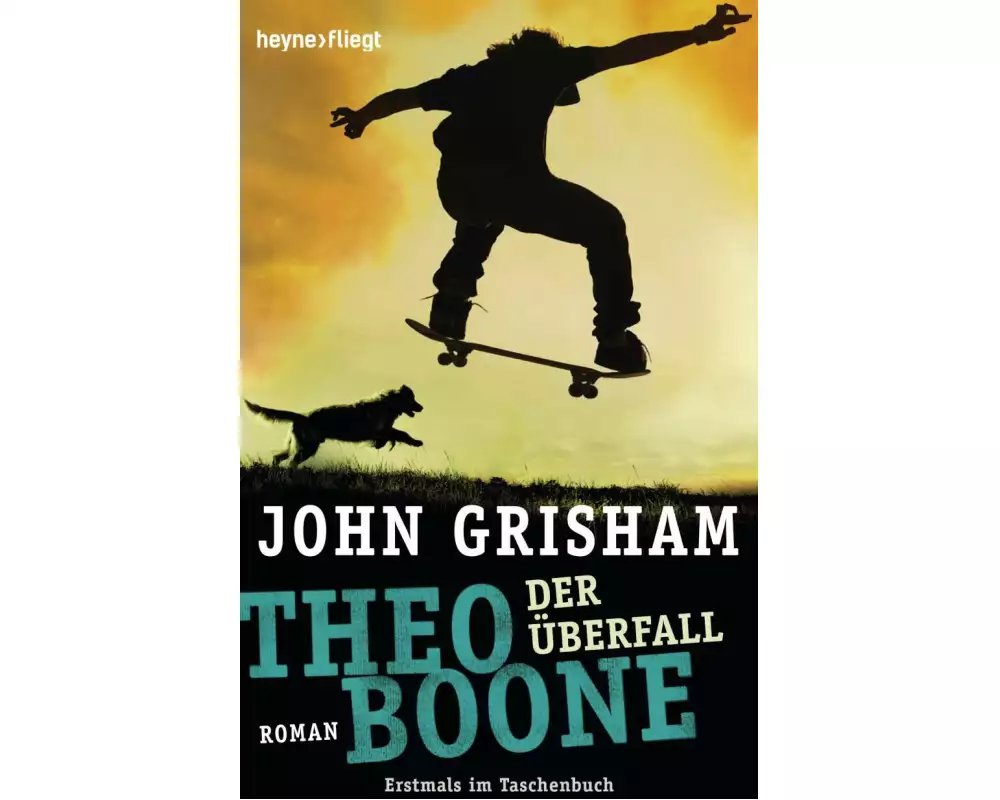 Theo Boone - Der Überfall