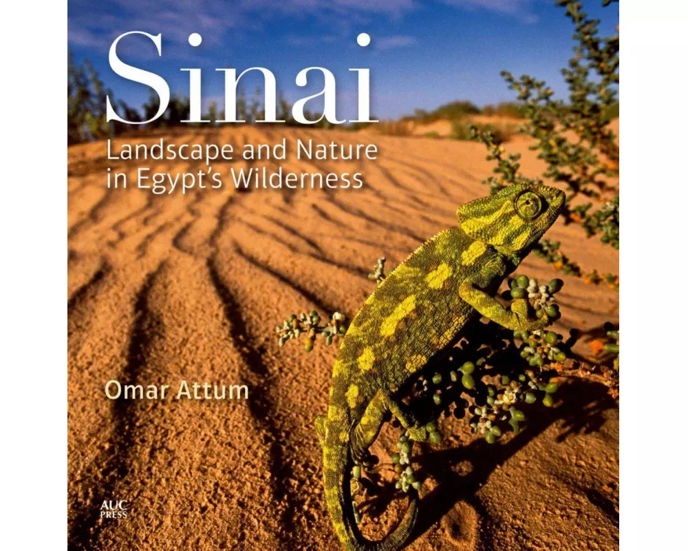 Sinai