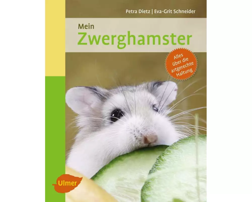 Mein Zwerghamster zu Hause