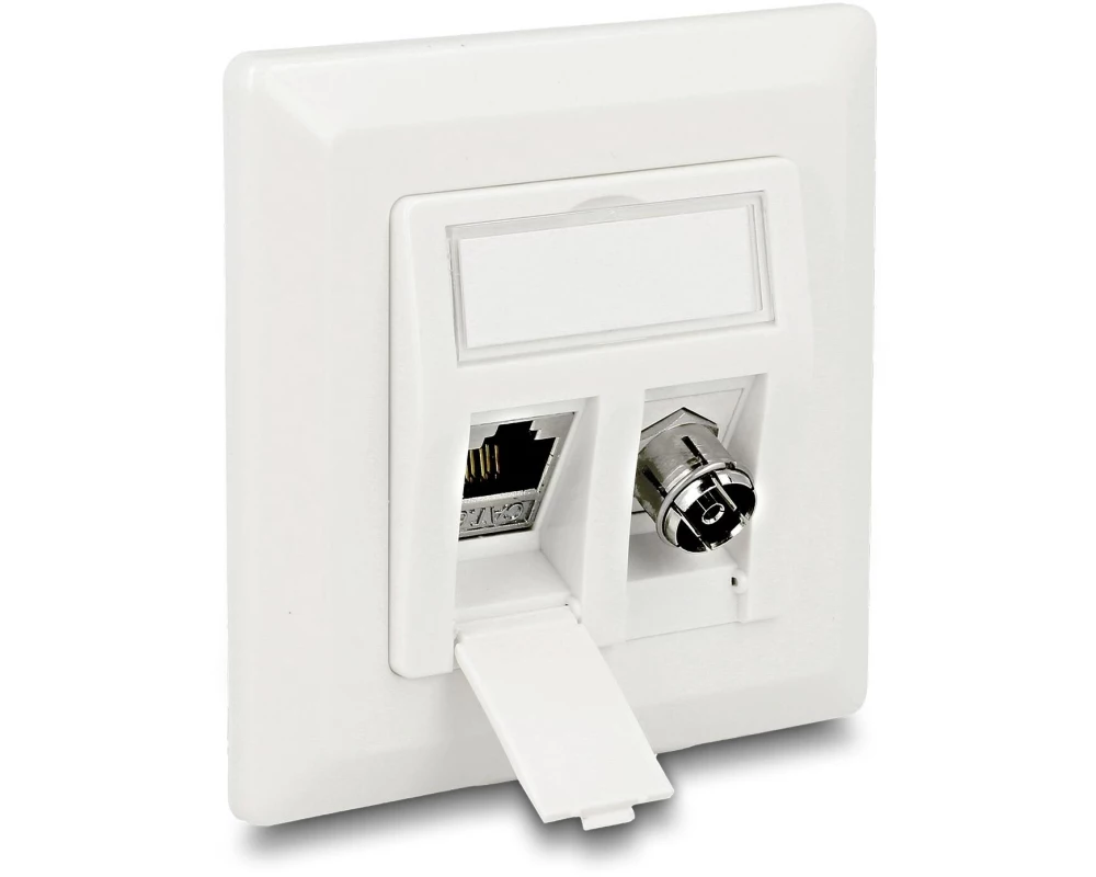 Delock Montageset Keystone 2 Port Anschlussdose