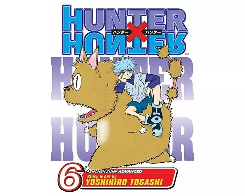 Hunter X Hunter Gn Vol 06