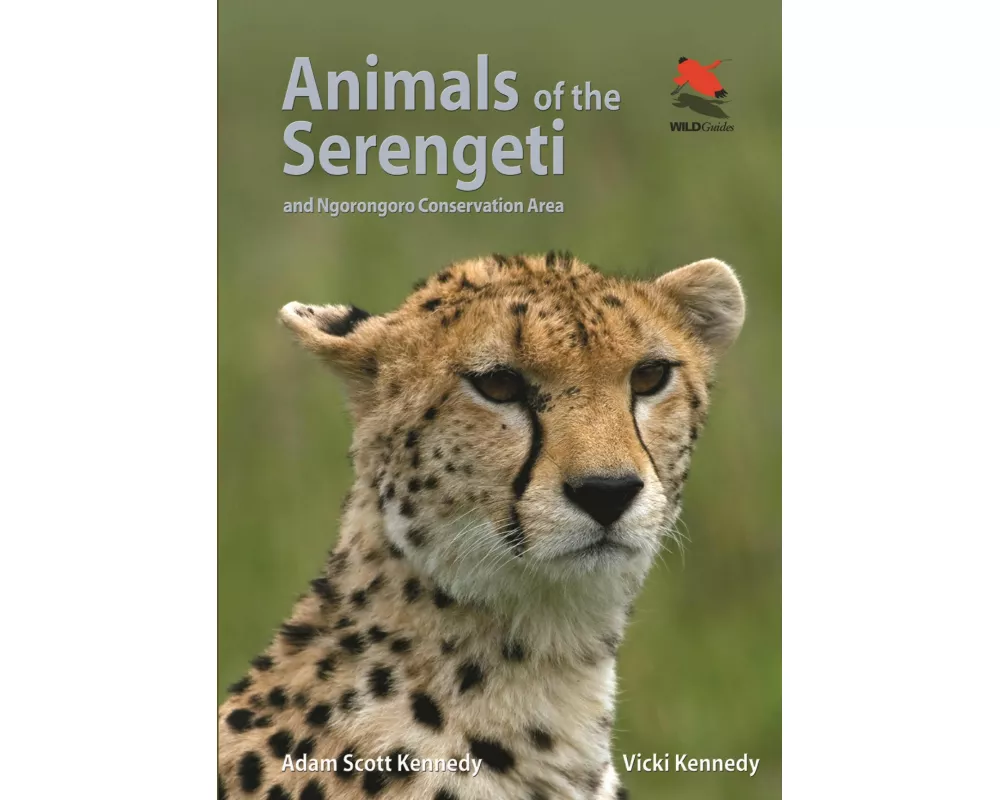 Animals of the Serengeti