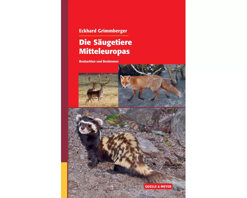 Die Säugetiere Mitteleuropas
