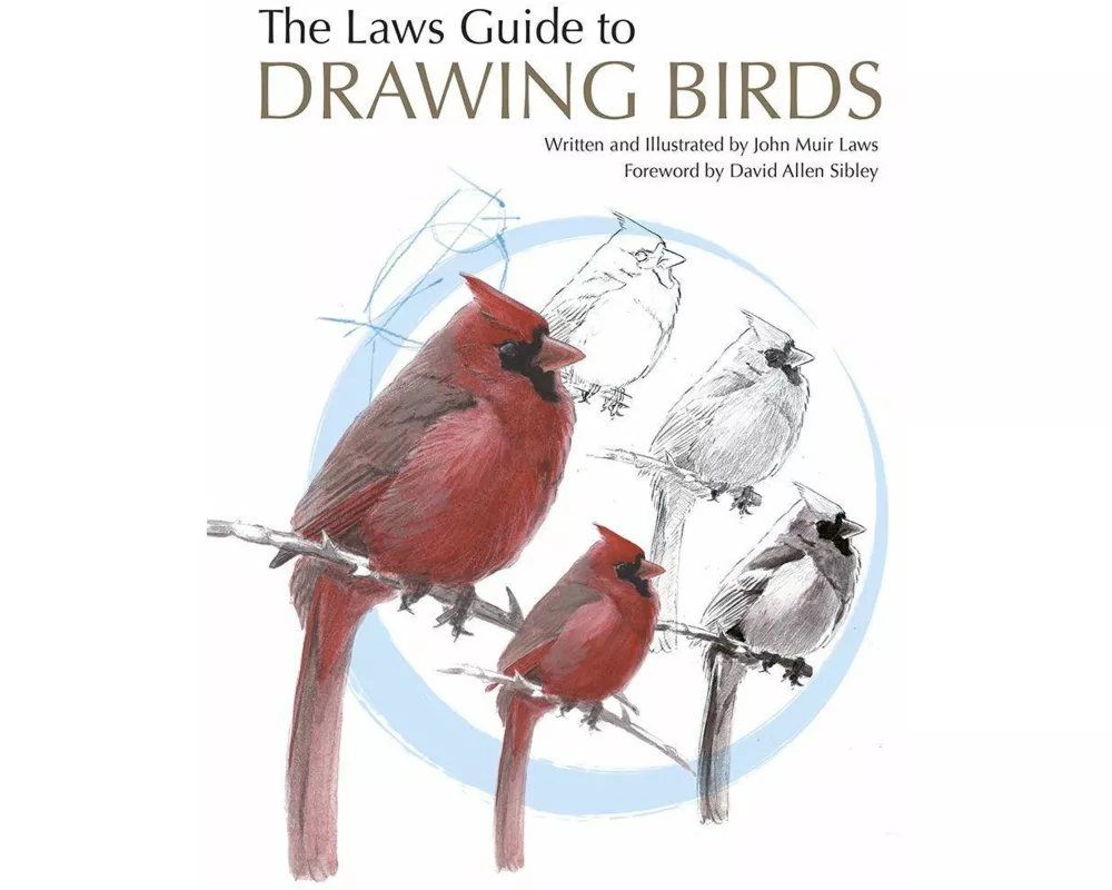 The Laws Guide to Drawing Birds