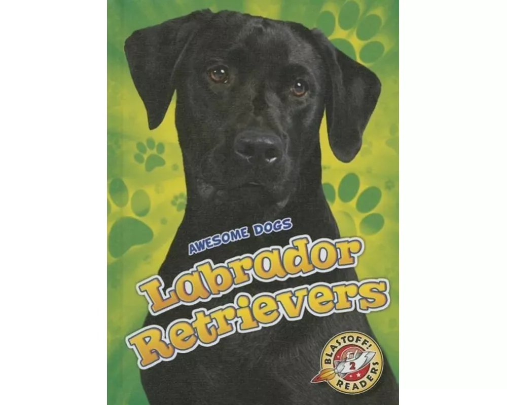Labrador Retrievers