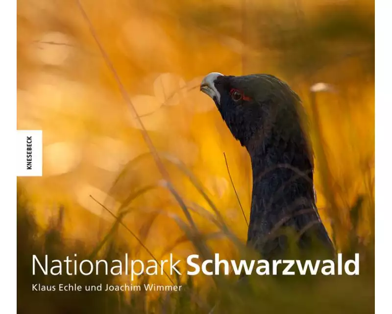 Nationalpark Schwarzwald