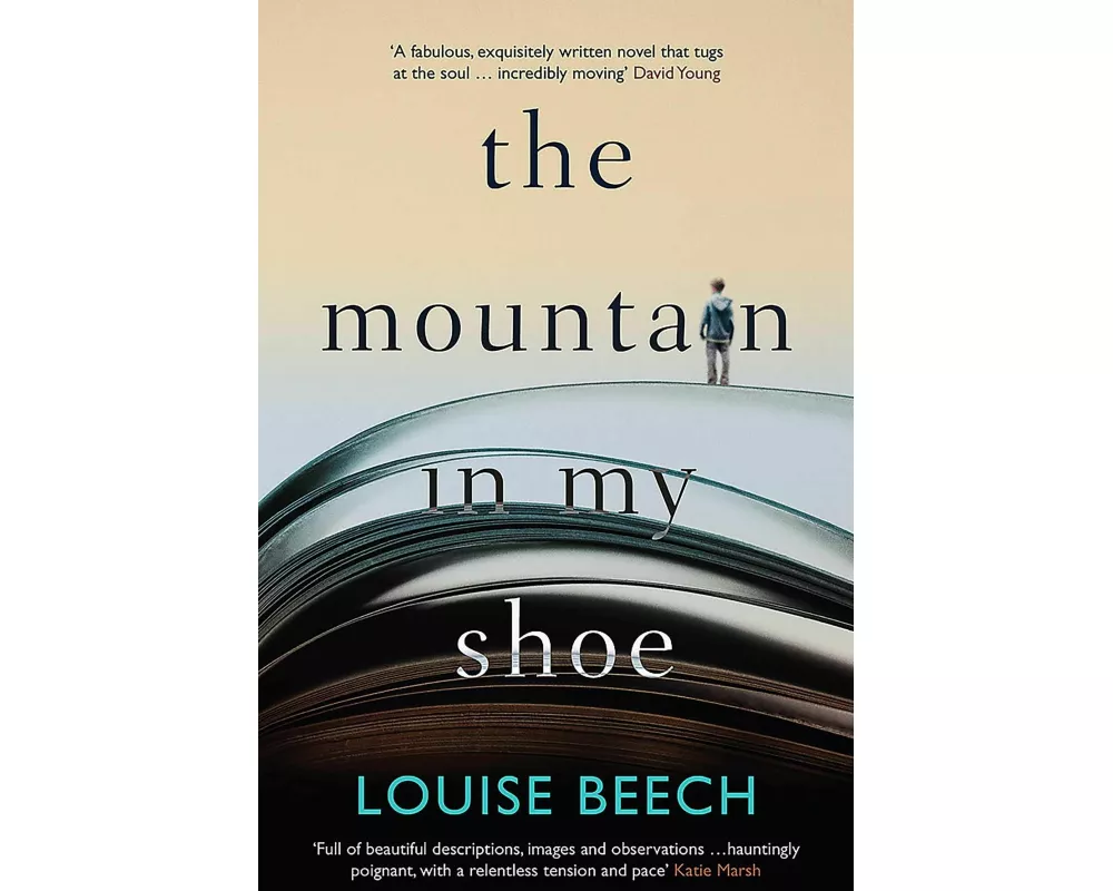 The Mountain in My Shoe