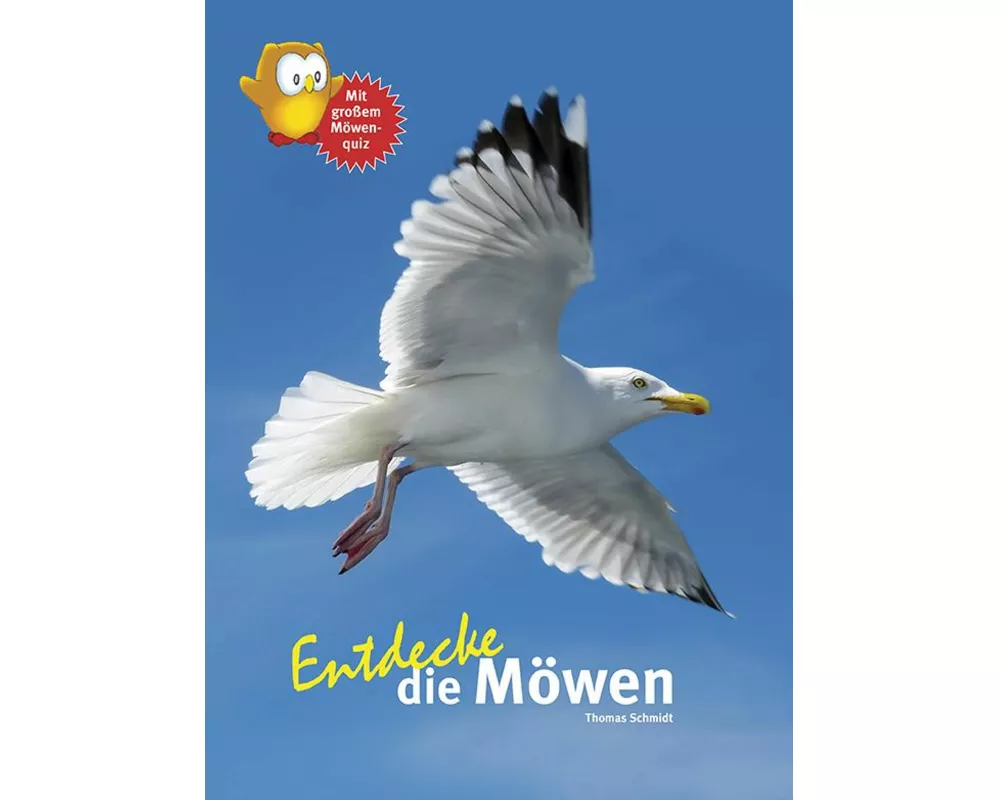 Entdecke die Möwen