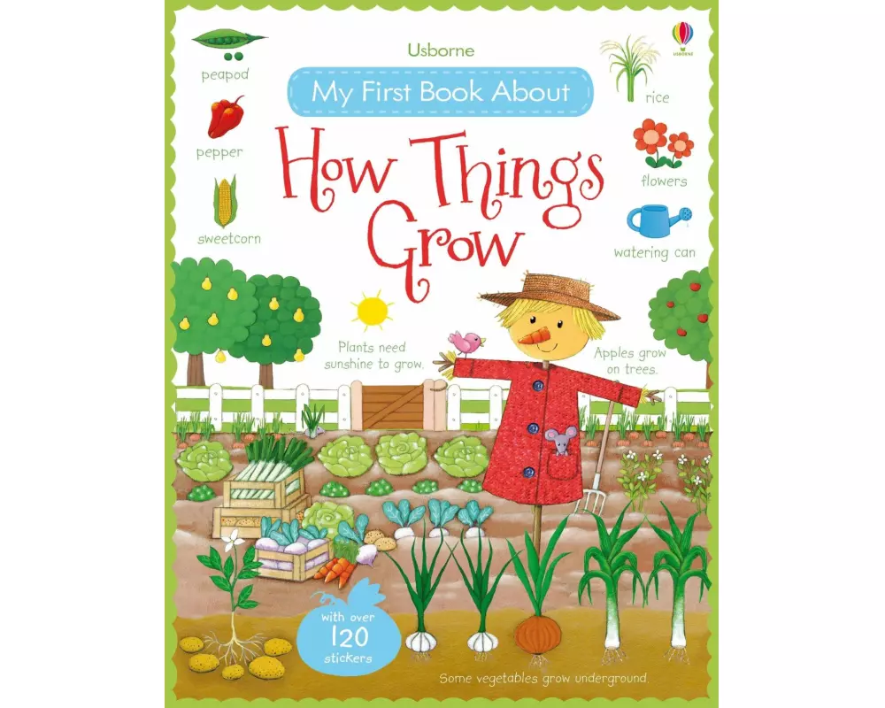 My First Book About How Things Grow