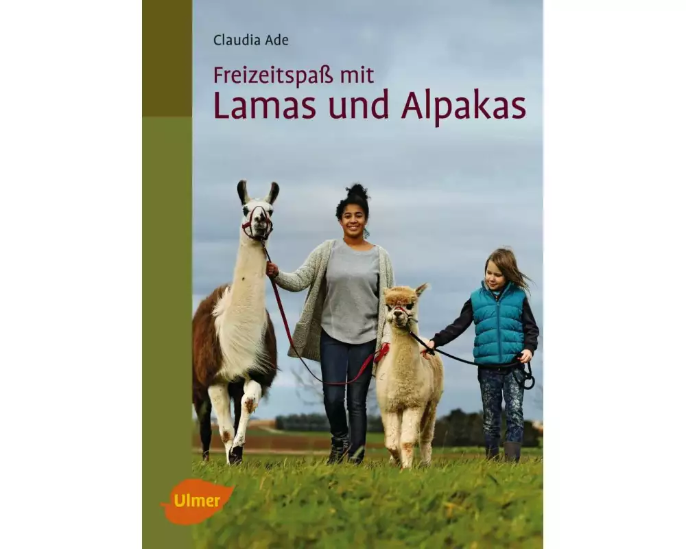 Freizeitspaß mit Lamas und Alpakas