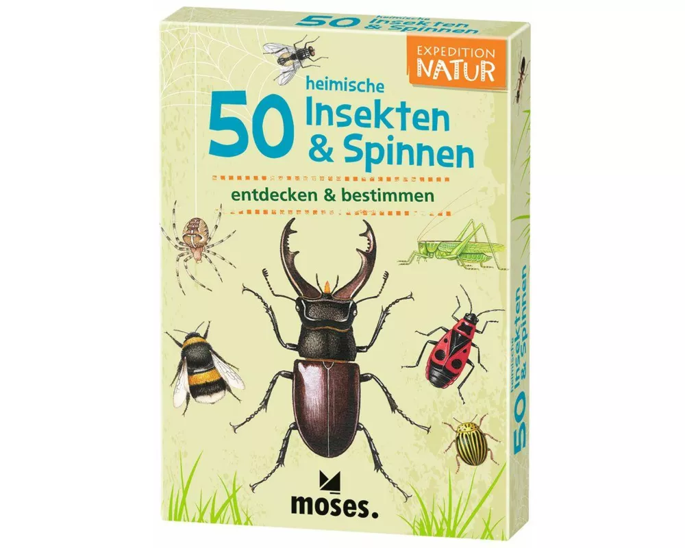 50 heimische Insekten & Spinnen