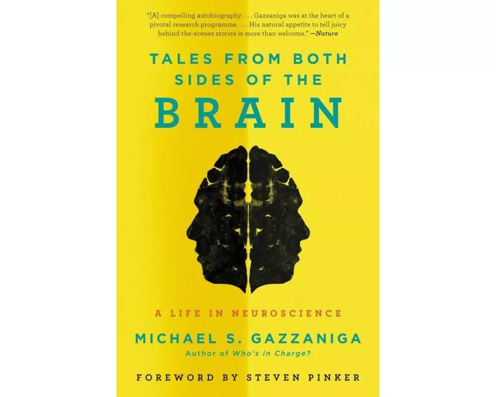 Tales from Both Sides of the Brain
