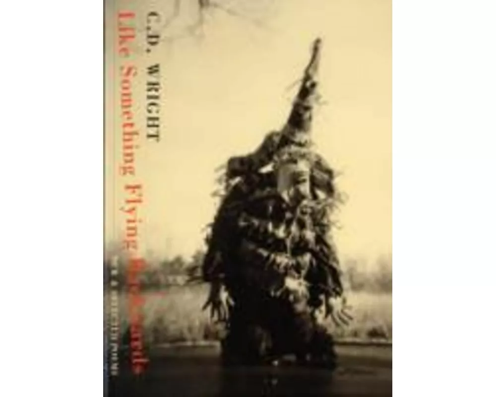 Like Something Flying Backwards