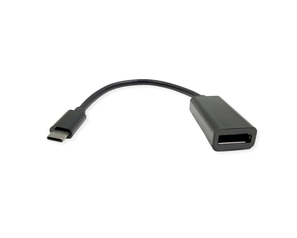 ROLINE Display Adapter USB Typ C - DP, ST/BU, 8K60