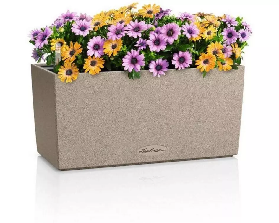 Lechuza BALCONERA Stone 40 Beige