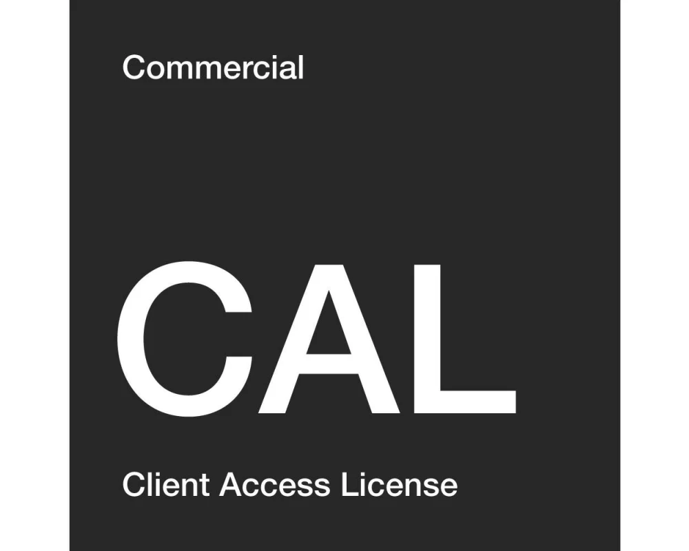 MS WS25 1Dev CAL WW LTU