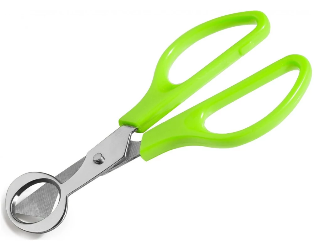 Ibili Eierschere 14 x 6 cm Grün/Silber