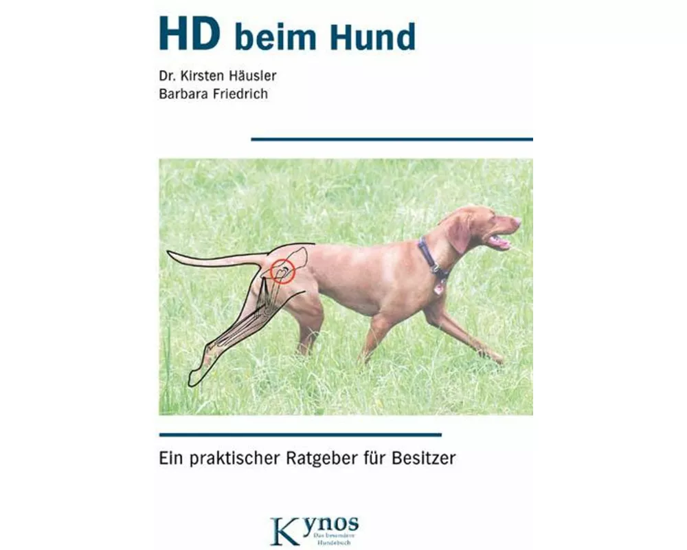 HD beim Hund