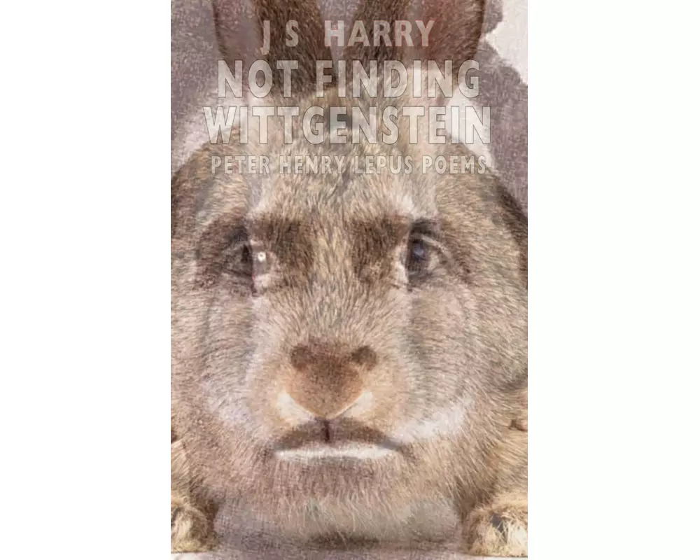 Not Finding Wittgenstein