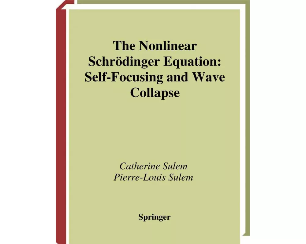 The Nonlinear Schrödinger Equation