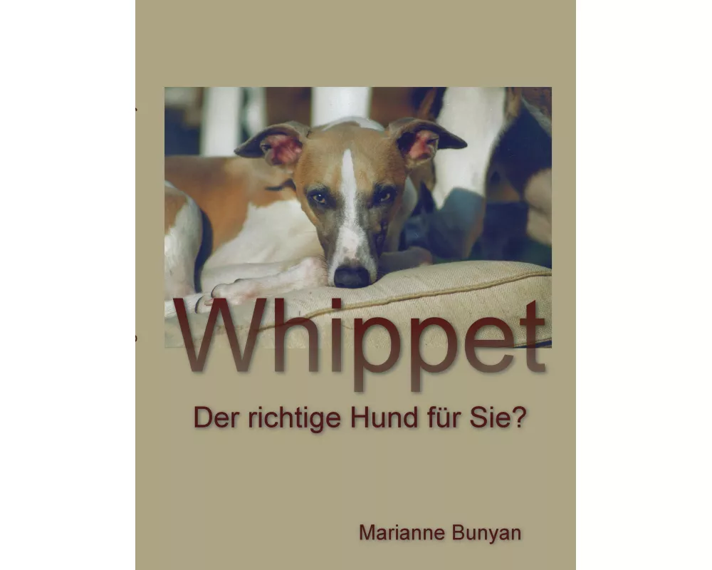 Whippet