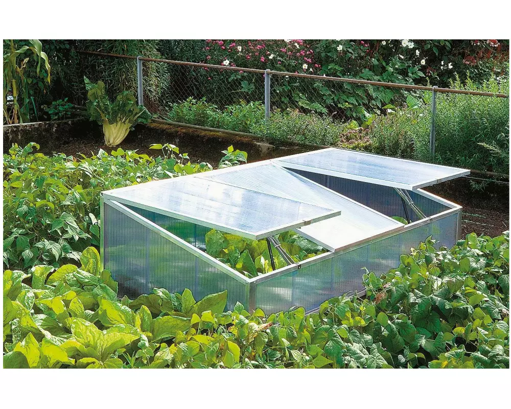 Colibri Frühbeetkasten Big-Boss 206 x 103 x 34/56 cm