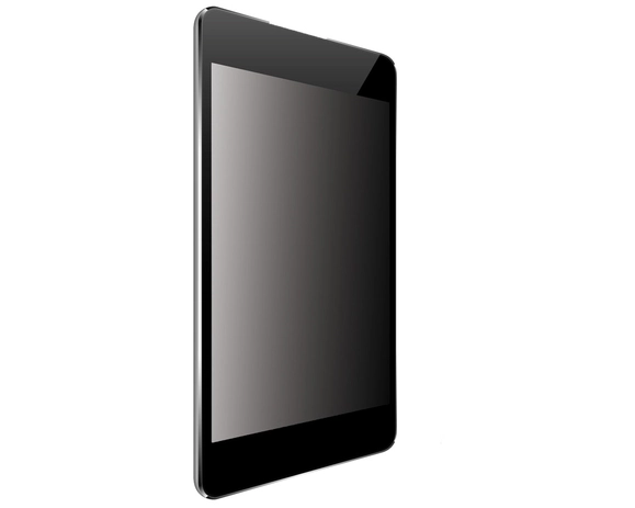 SECURITY FILTER 2-WAY PLUG IN