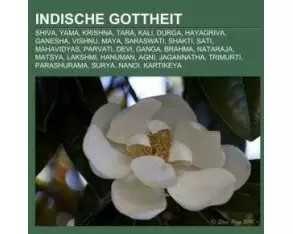 Indische Gottheit