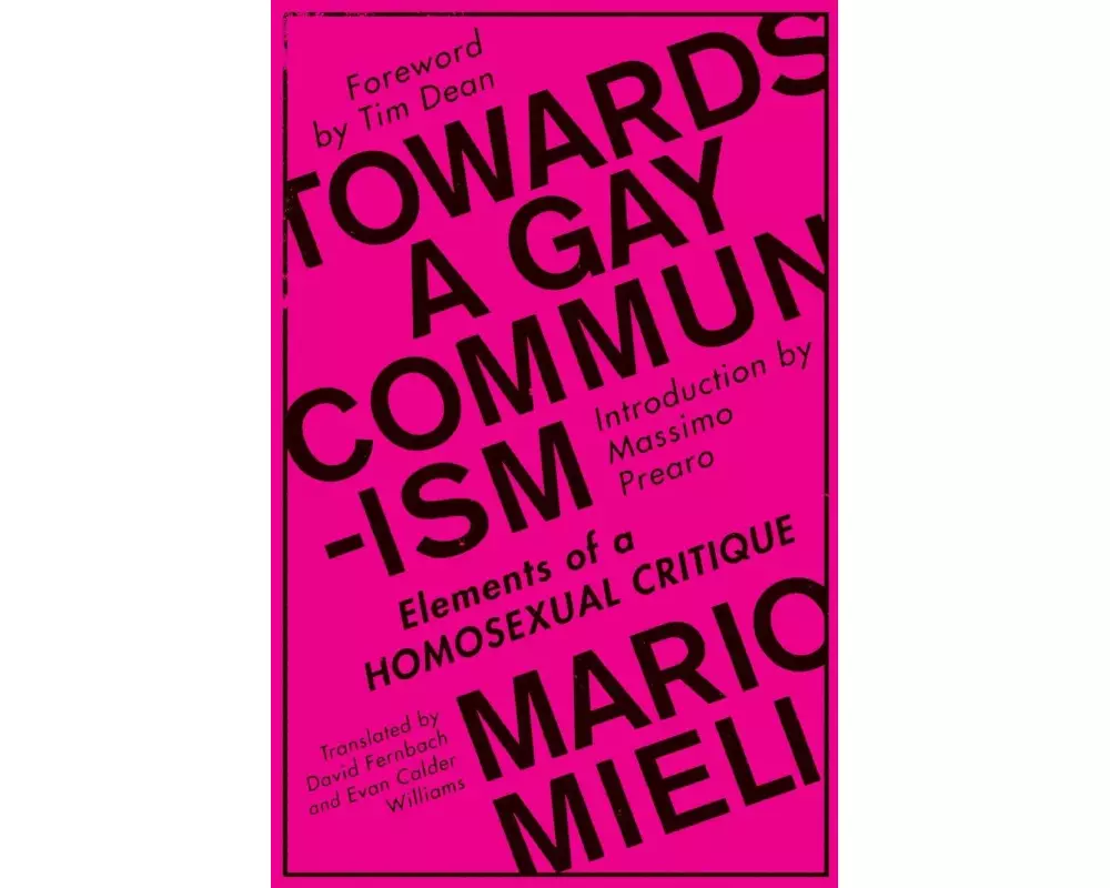 Towards a Gay Communism