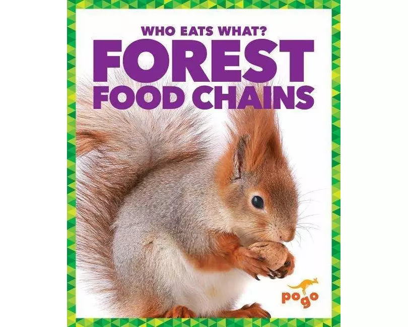 Forest Food Chains