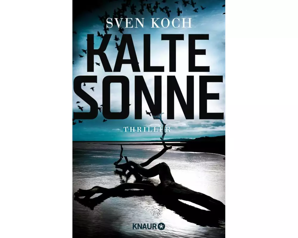 Kalte Sonne