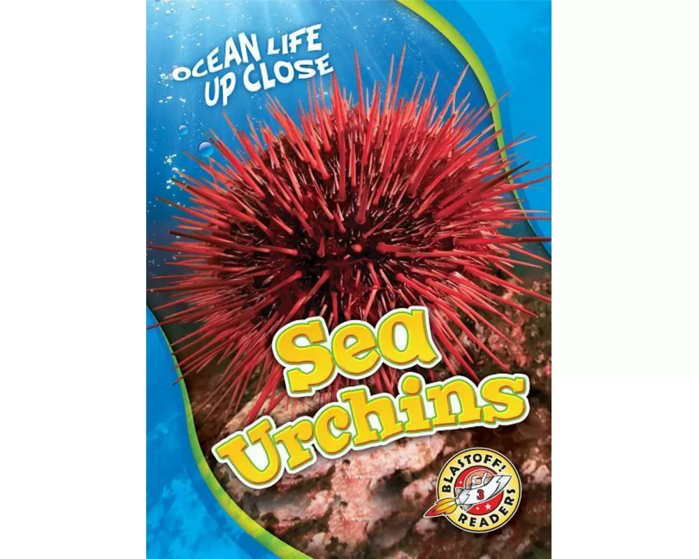 Sea Urchins