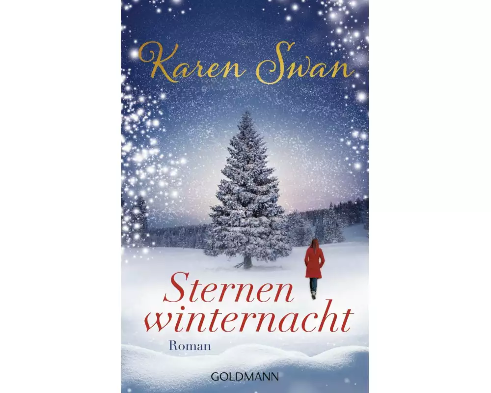 Sternenwinternacht