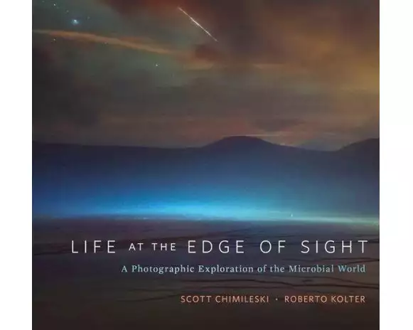 Life at the Edge of Sight