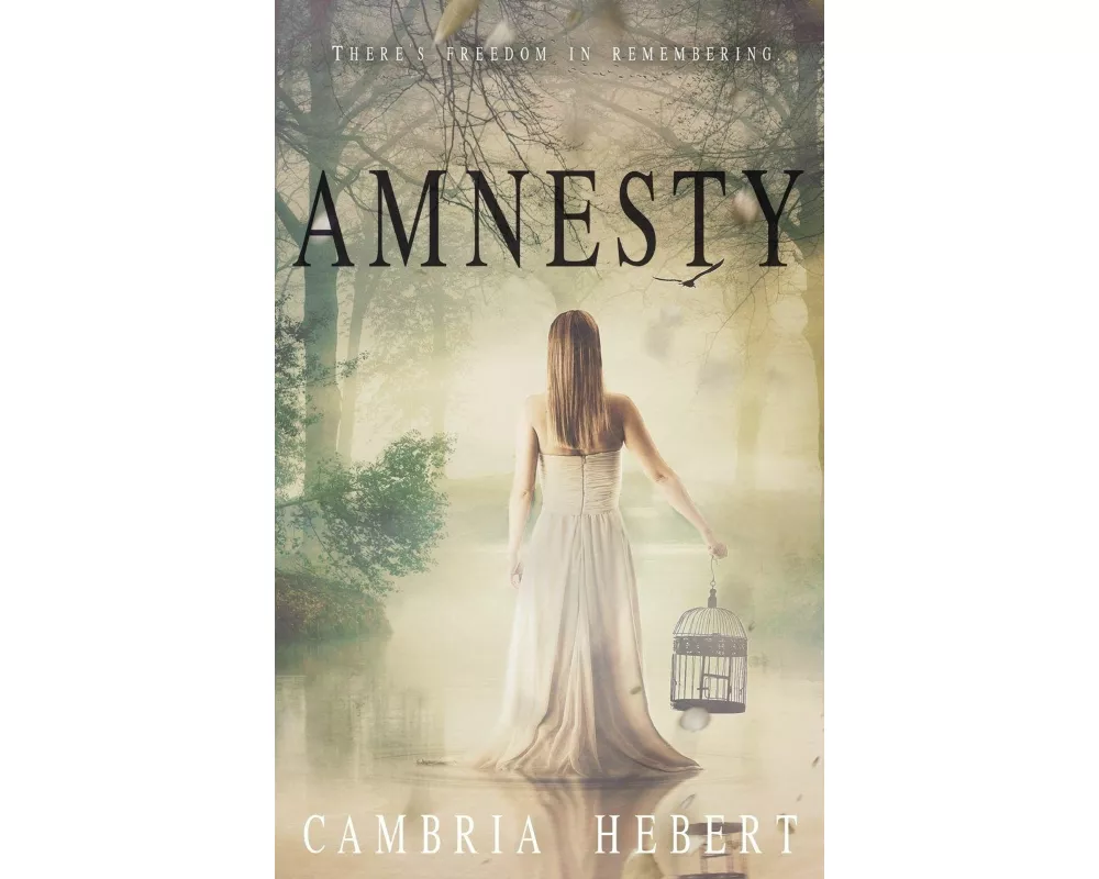 Amnesty