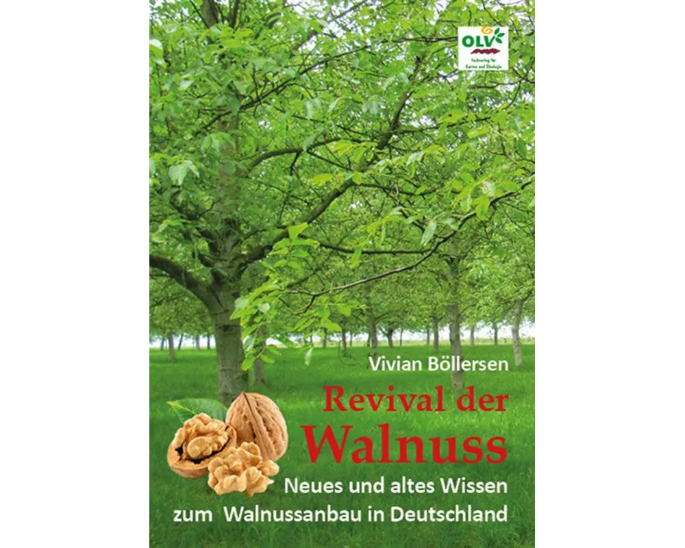 Revival der Walnuss