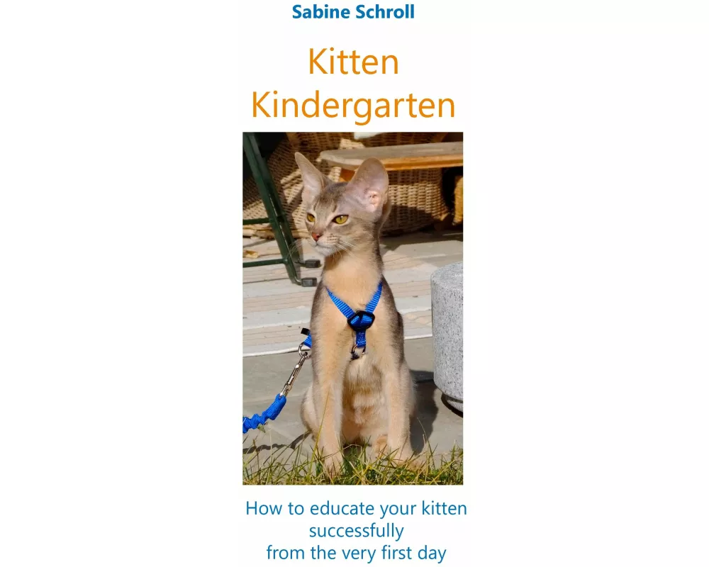 Kitten Kindergarten