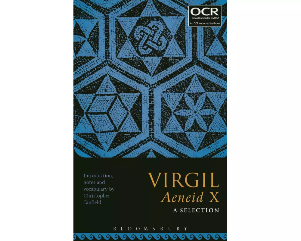 Virgil Aeneid X: A Selection