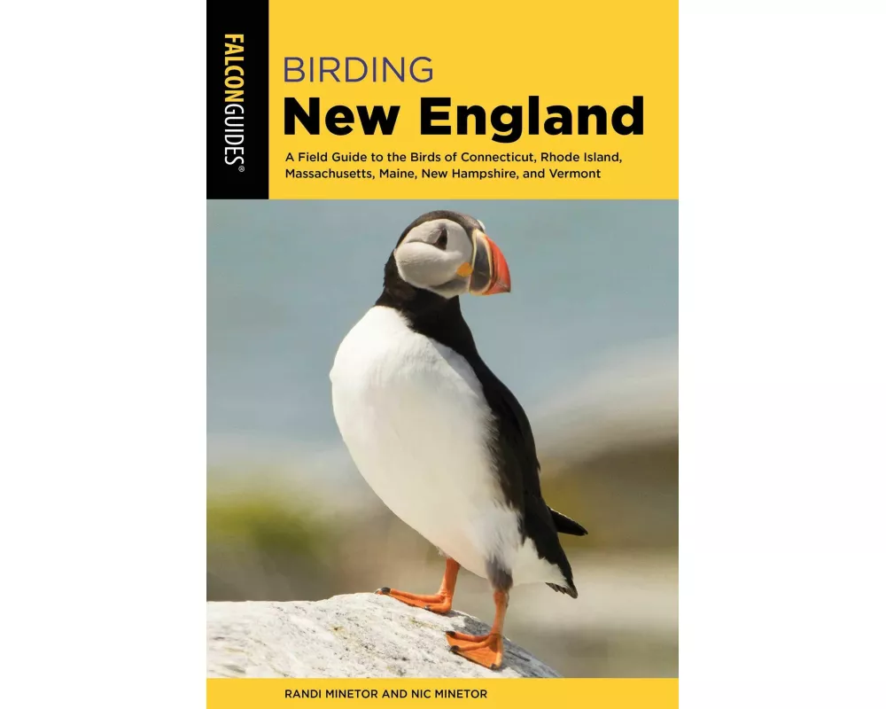 Birding New England
