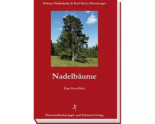 Nadelbäume
