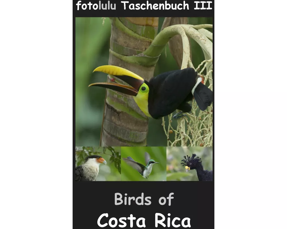 Birds of Costa Rica