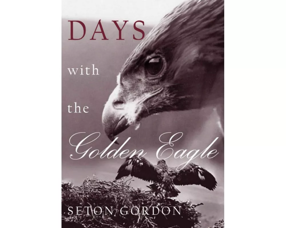 Days with the Golden Eagle
