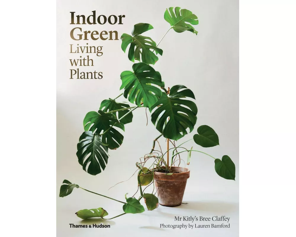 Indoor Green: Living with Plants