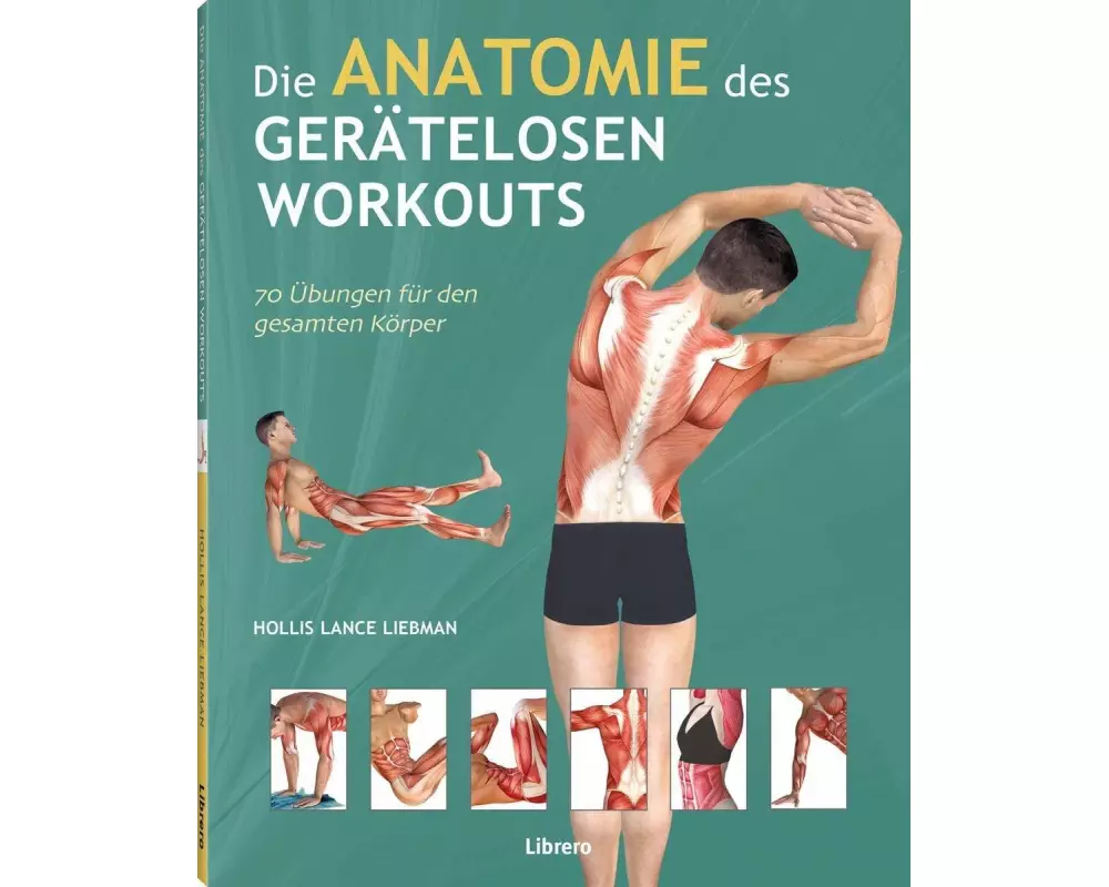 Die Anatomie des gerätelosen Workouts