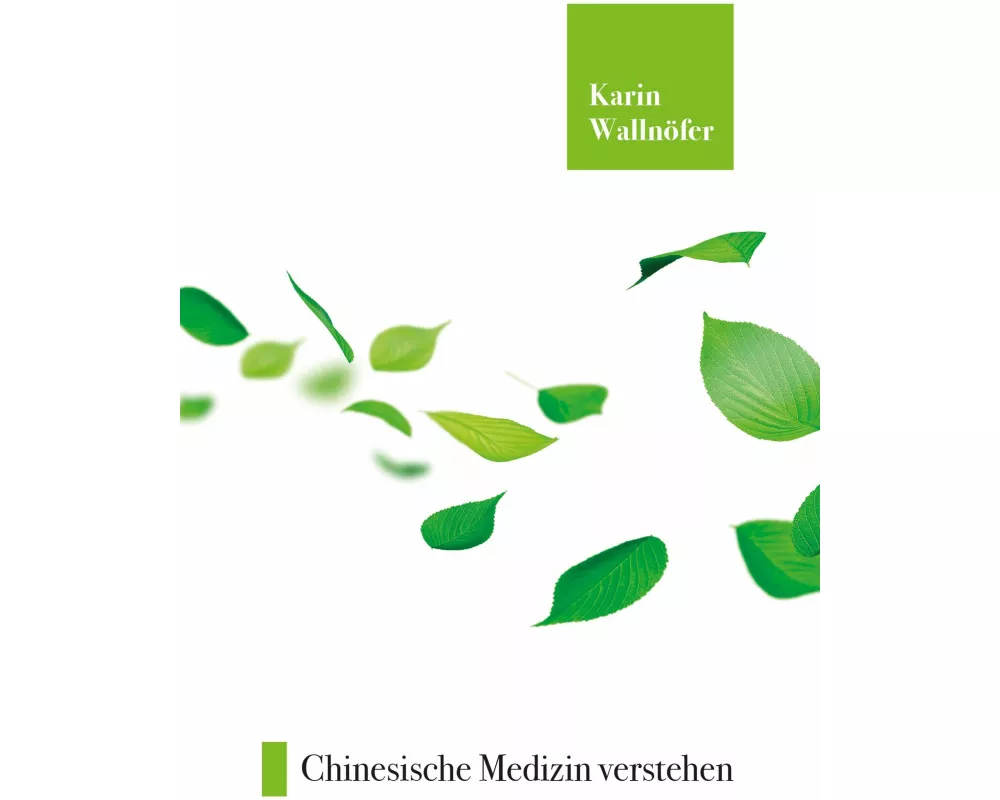 Chinesische Medizin verstehen