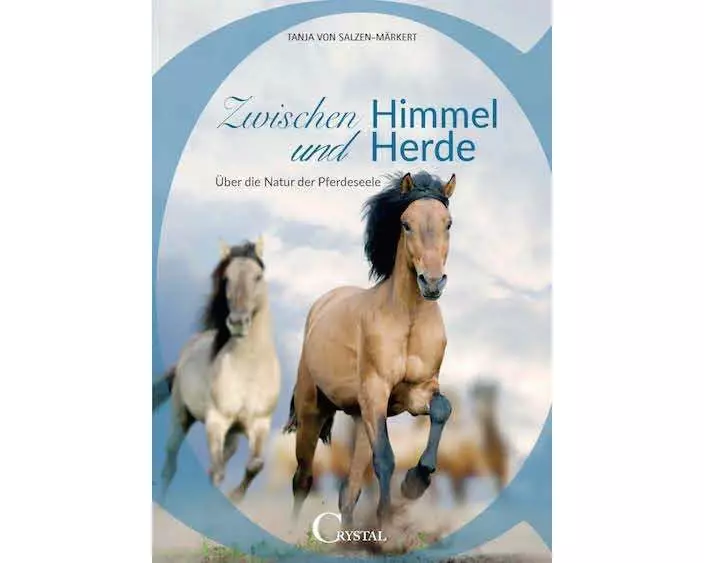 Zwischen Himmel und Herde