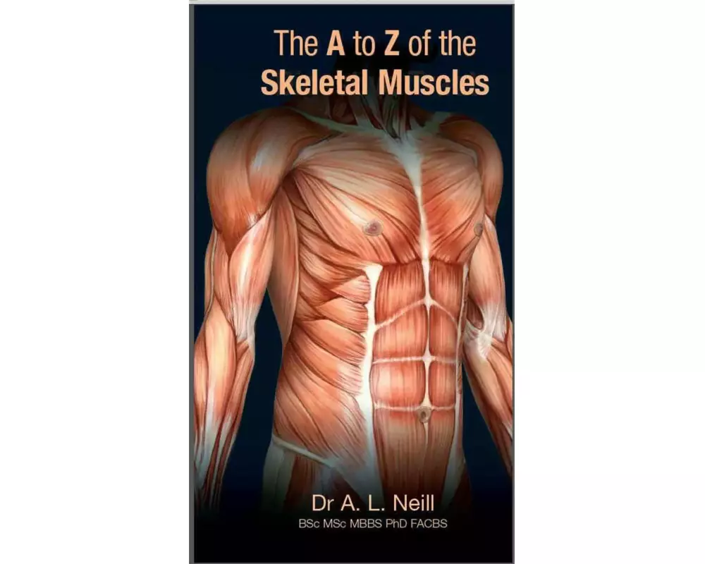 The A to Z of Skeletal Muscles