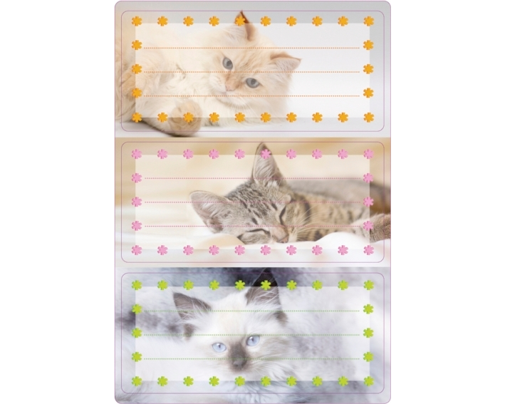 HERMA Schuletiketten 5569 Motiv 6 Stück