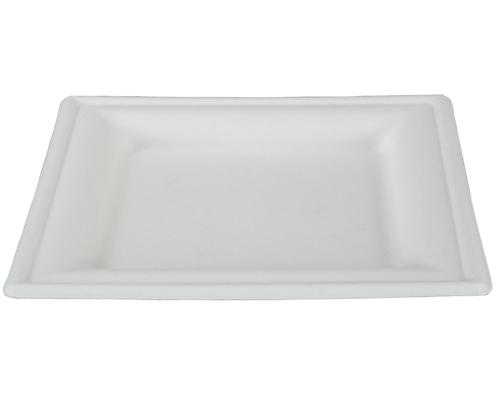 EJS Teller aus Bagasse 16x16cm 3142.2008 50 weiss 50 Stk.