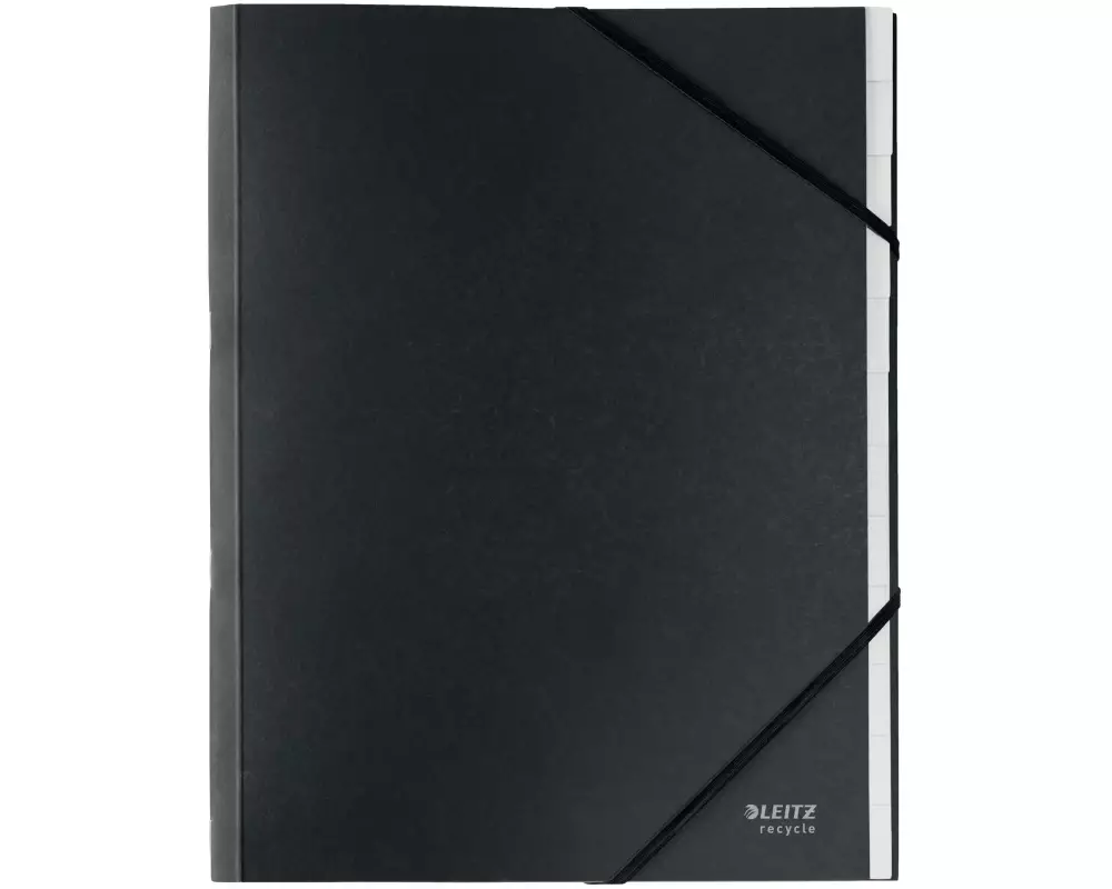 Leitz Ordnungsmappe Recycle A4 12 Fächer, Schwarz